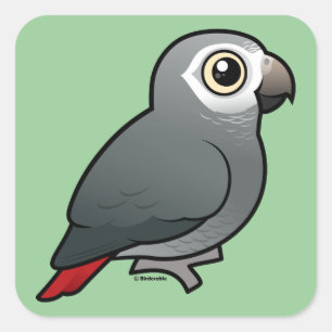 Timneh African Grey Parrot Square Sticker