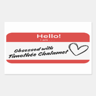 timothée chalamet nametag rectangular sticker