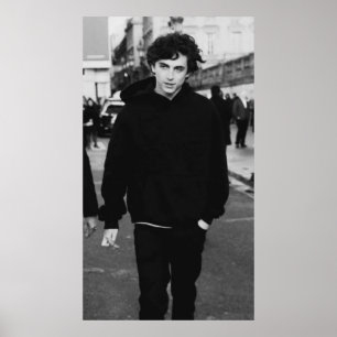 timothee chalamet walking poster