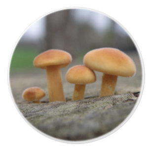 Timy Toadstools Macro Ceramic Knob