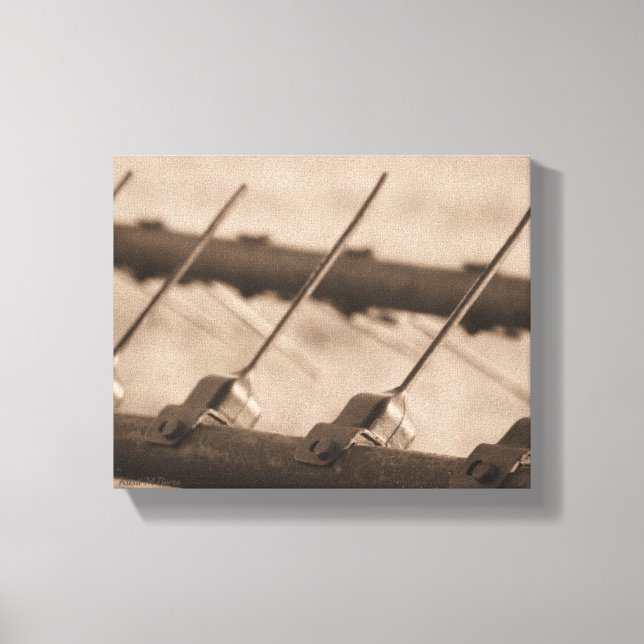 Tine to Rake in Sepia Canvas Print (Front)