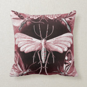 Tineida - Mothes Cushion