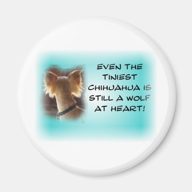 Tiniest Chihuahua... Magnet (Front)
