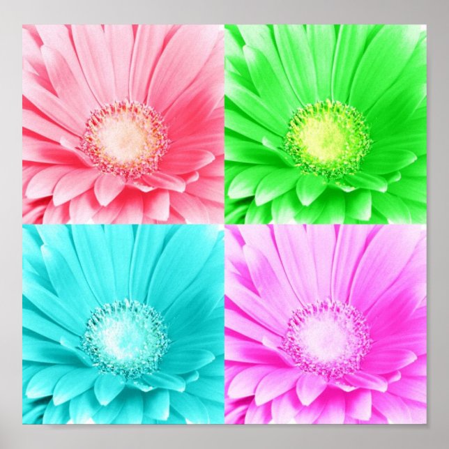 Tinted Gerbera Daisy Canvas Poster (Front)