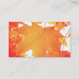 Tinted Orange Maple Leaf Business Card