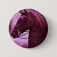 Tinted Saddlebred