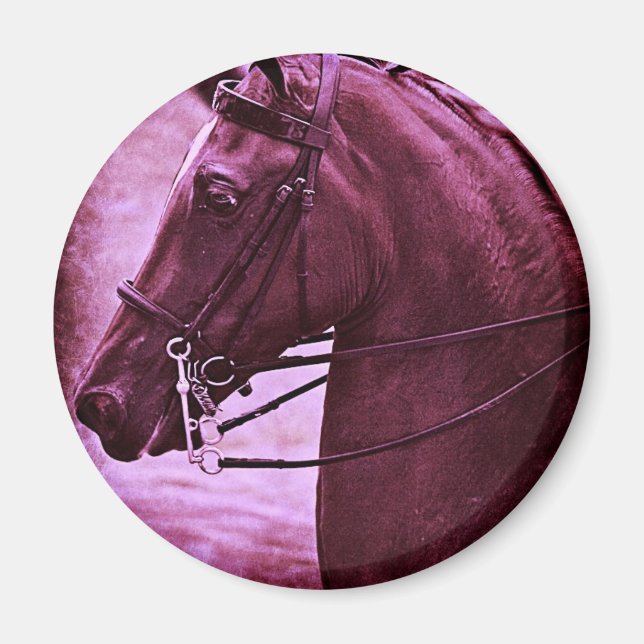 Tinted Saddlebred Magnet (Front)