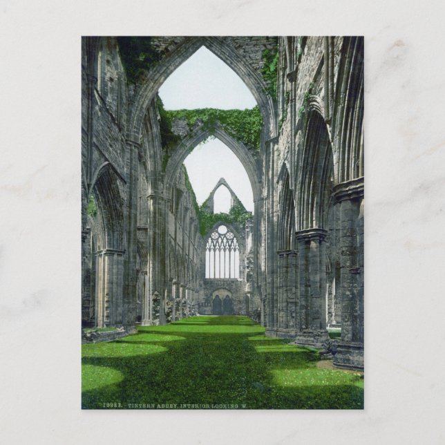 Tintern Abbey Postcard (Front)
