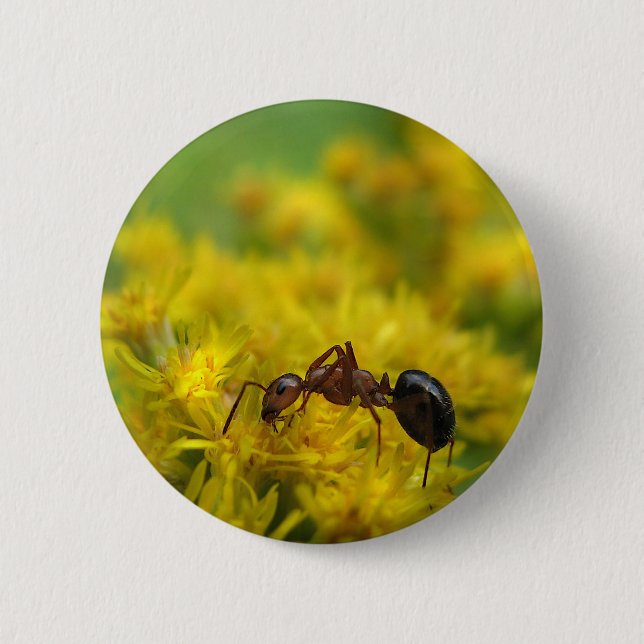 Tiny Ant on Goldenrod 6 Cm Round Badge (Front)
