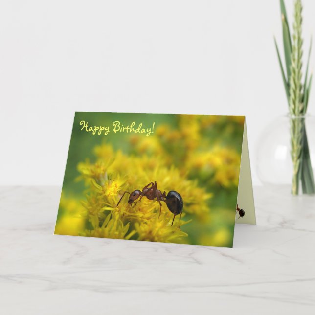 Tiny Ant on Goldenrod Birthday Card (Front)
