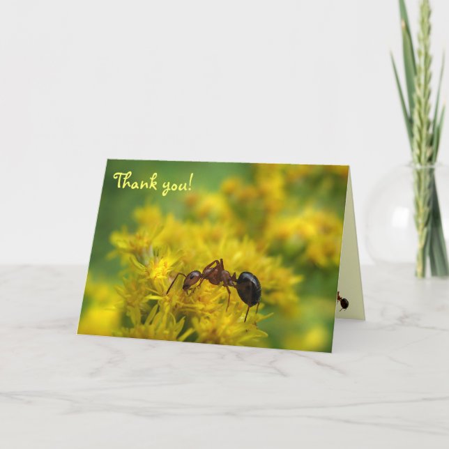 Tiny Ant on Goldenrod Thank You Card (Front)
