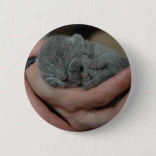 Tiny Baby Blue Kitten 6 Cm Round Badge