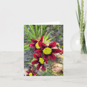 Tiny Blooms Thank You Card