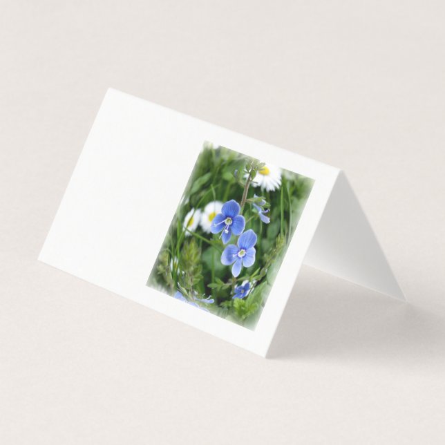 tiny blue flowers (Front)