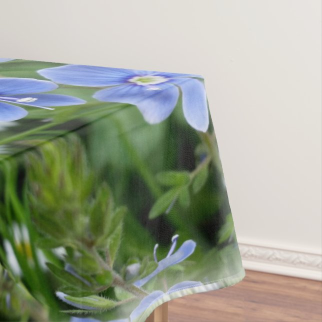 tiny blue flowers tablecloth (In Situ)
