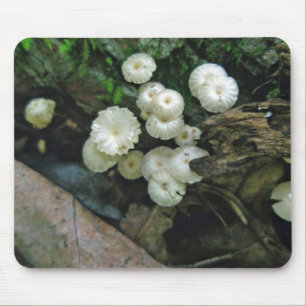 Tiny Crimped Mushroom Colony Mousepad