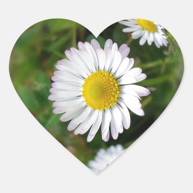 Tiny daisies heart sticker (Front)