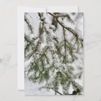 Tiny Diamonds of Ice Clinging to Emerald Needles Holiday Card