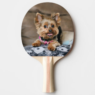 Tiny Dynamo Ping Pong Paddle