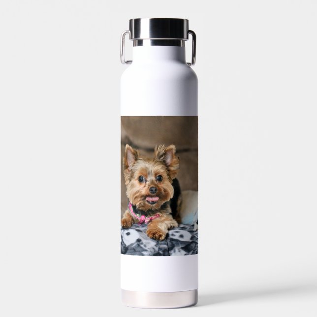 Tiny  dynamo  water bottle (Front)