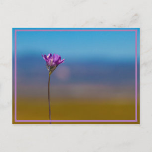tiny flower postcard