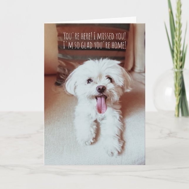 Tiny Fluffy Dog Happy To See You Dogs are the Best Card (Front)