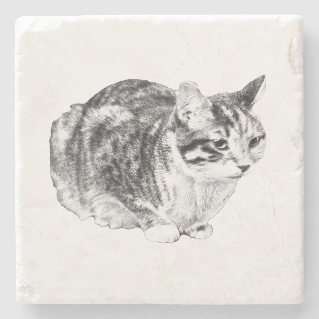 Tiny Gallery: Tabby on Cushion Stone Coaster (Front)