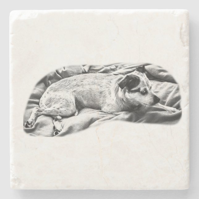 Tiny Gallery: Terrier on Blanket Stone Coaster (Front)