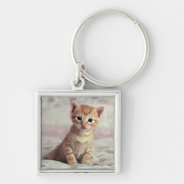 Tiny Ginger Kitten Key Ring (Front)