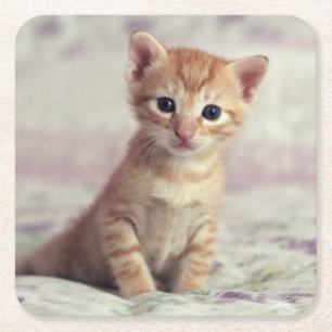 Tiny Ginger Kitten Square Paper Coaster