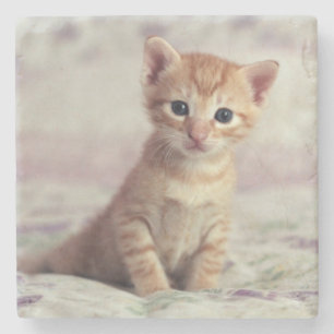 Tiny Ginger Kitten Stone Coaster