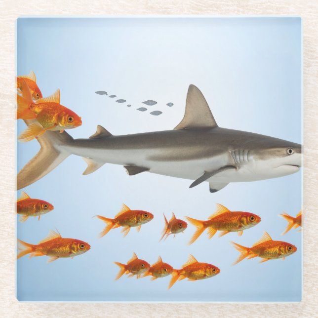 “Tiny Goldfish, Big Shark Energy” Glass Coaster (Front)