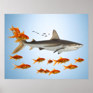 “Tiny Goldfish, Big Shark Energy” Poster