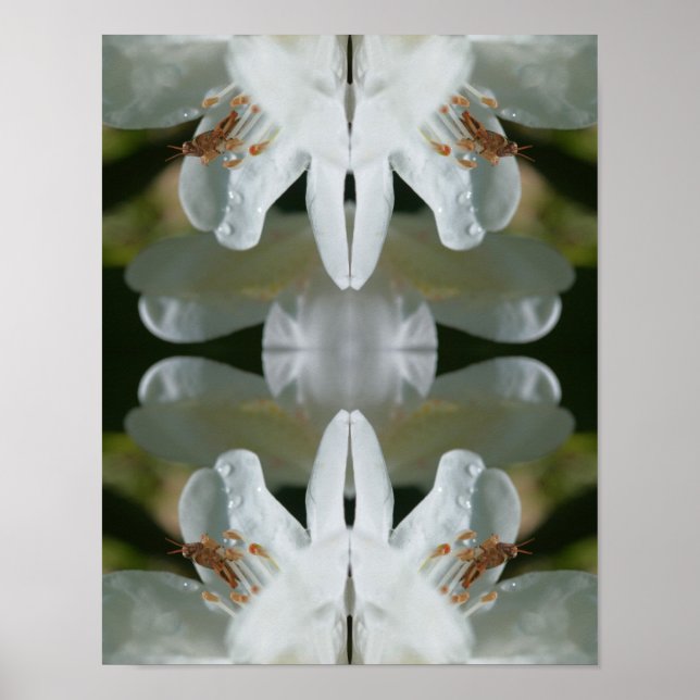 Tiny Grasshopper On White Azalea Flower Abstract  Poster (Front)