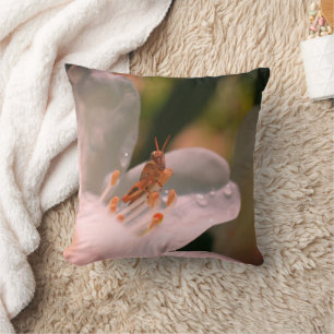 Tiny Grasshopper On White Azalea Flower Cushion