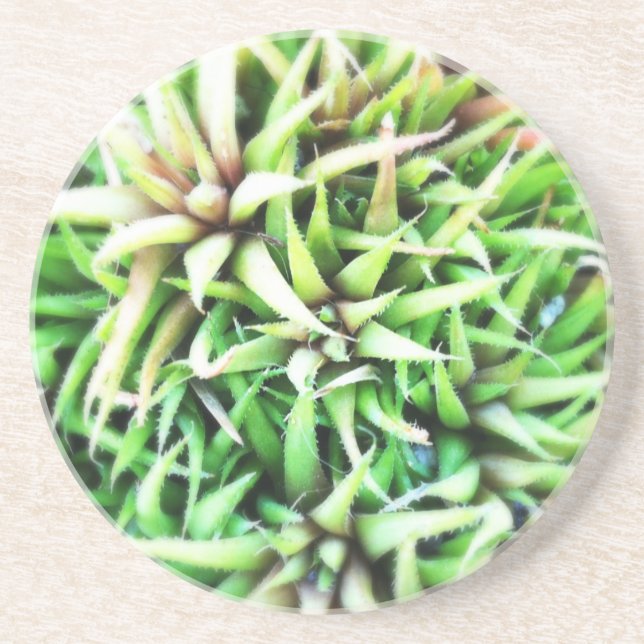 Tiny Green Aloe Coaster (Front)