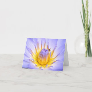 Tiny Guest Card