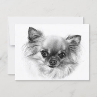 Tiny King - Hand Painted Chihuahua Portrait Postcard