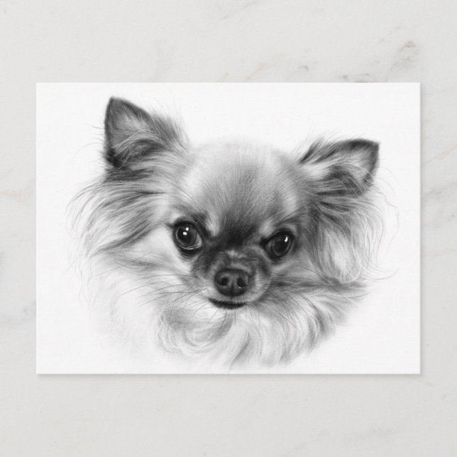 Tiny King - Hand Painted Chihuahua Portrait Postcard (Front)