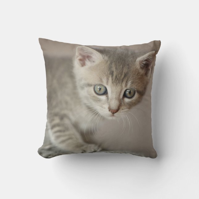 Tiny Kitten Cushion (Front)
