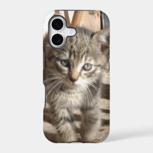 Tiny Kitten IPhone 5 case