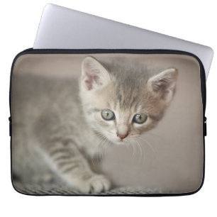 Tiny Kitten Laptop Sleeve