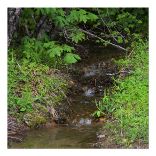 Tiny lil creek... poster