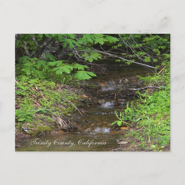 Tiny little creek... postcard (Front)