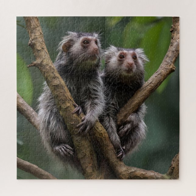 Tiny Marmoset Titans Among the Branches, Jigsaw Puzzle (Vertical)