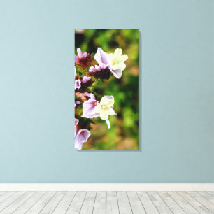 tiny multi colour flower spring flora collection canvas print