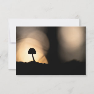 Tiny Mushroom Nature Photo Card