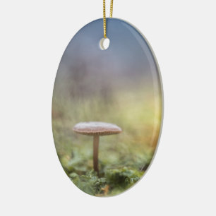 Tiny Mushroom Nature Photo Ceramic Tree Decoration