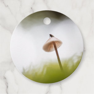 Tiny Mushroom Nature Photo Favour Tags
