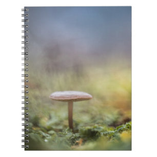 Tiny Mushroom Nature Photo Notebook